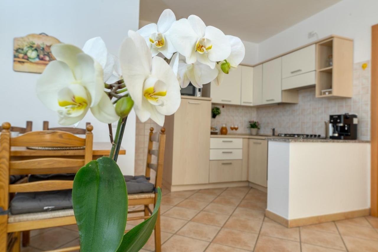 Izzhome Everyway Pula Buitenkant foto